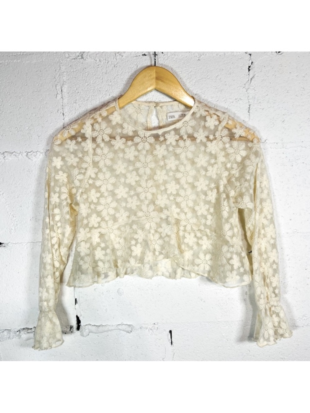 Zara Cream Floral Lace Long Sleeve Sheer Crop Top